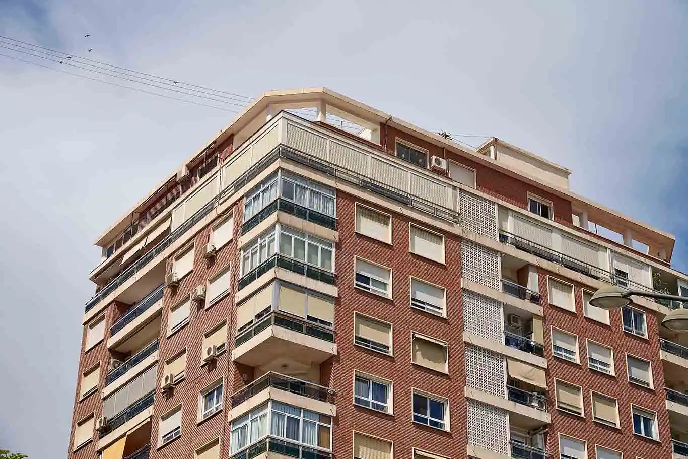 lateral 5 copia